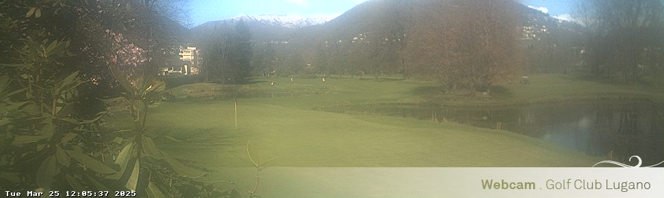 25.03.2025 12:05
