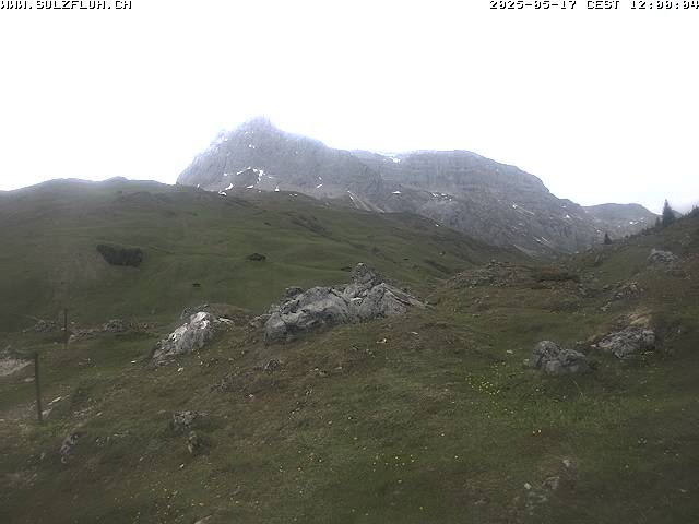 17.05.2025 12:00