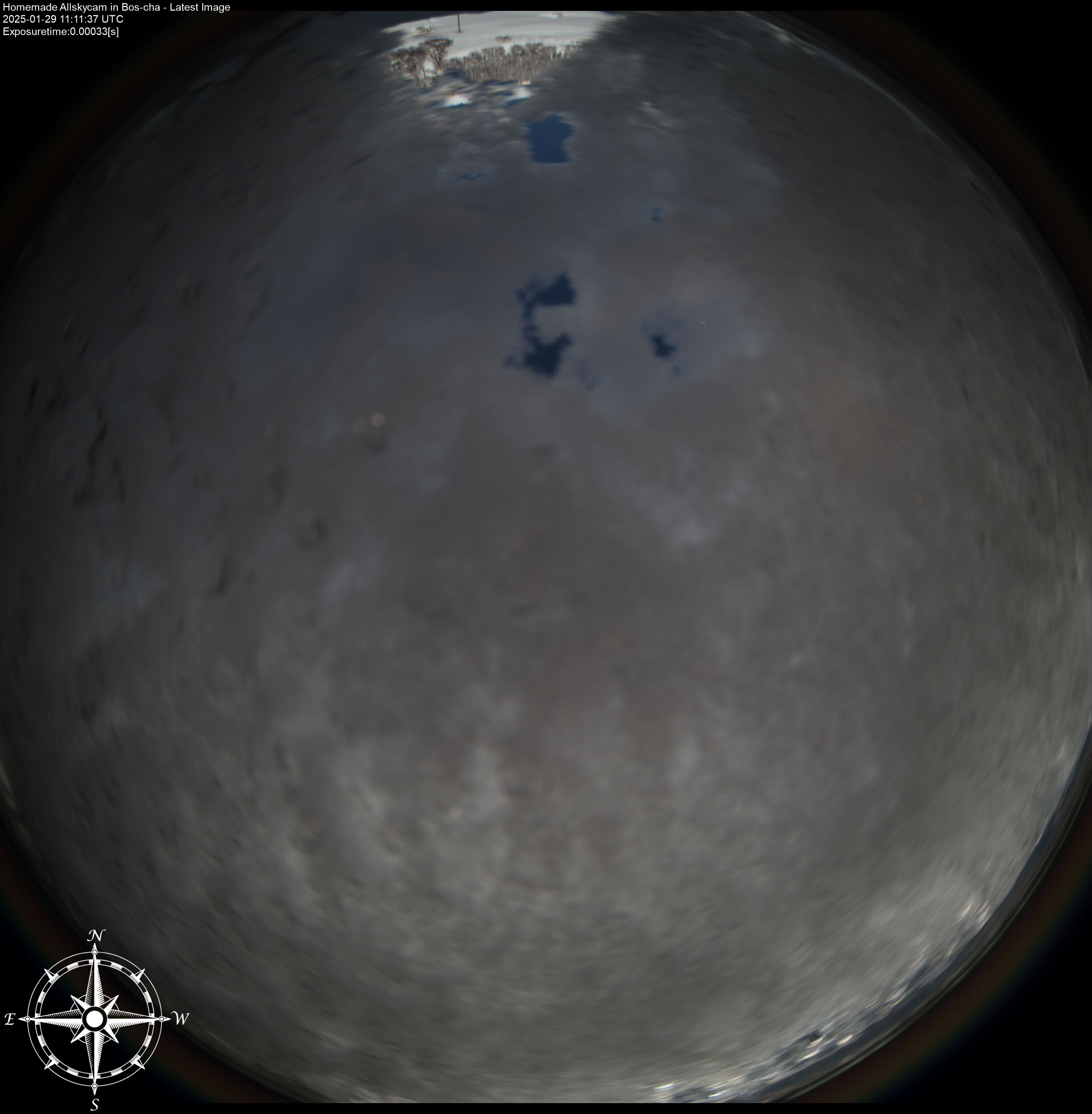 29.01.2025 12:12