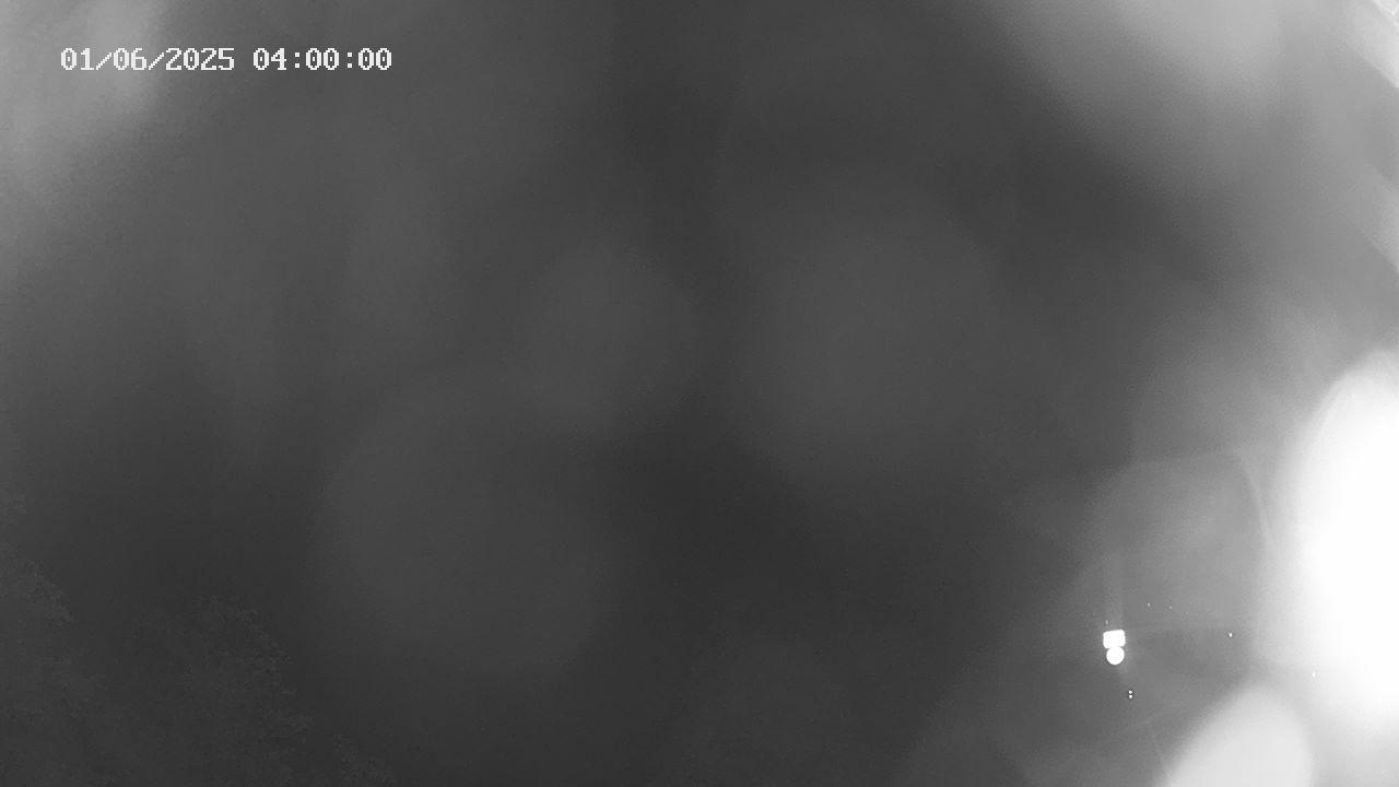14h ago - 04:00
