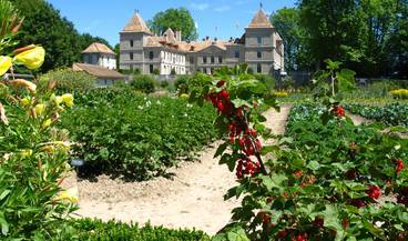 cdp_jardingroseille.jpg