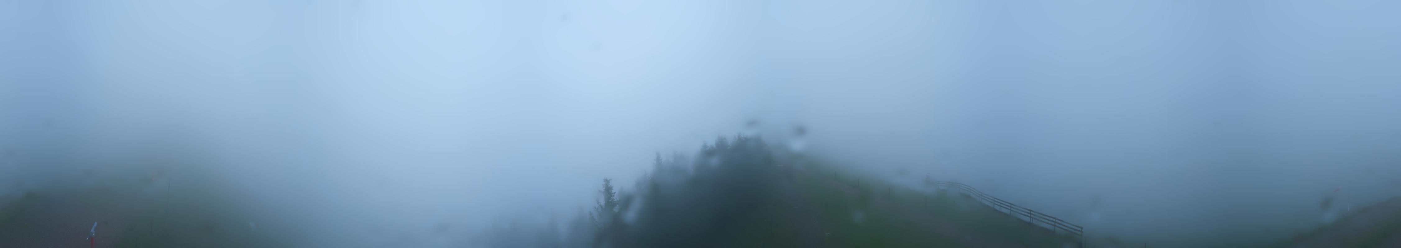 31h ago - 19:32