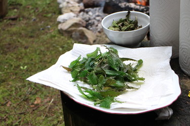 Nettle crisps (Alain Frund)