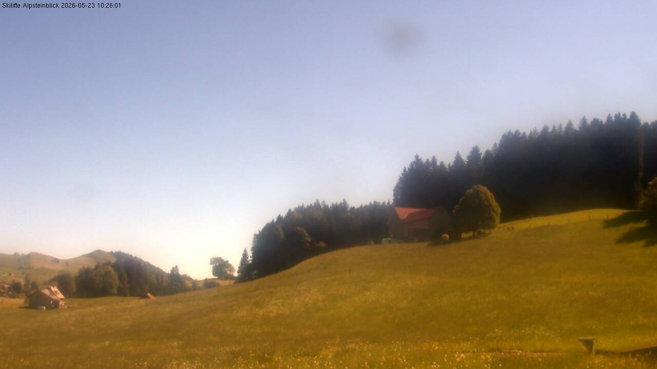 31h ago - 10:16