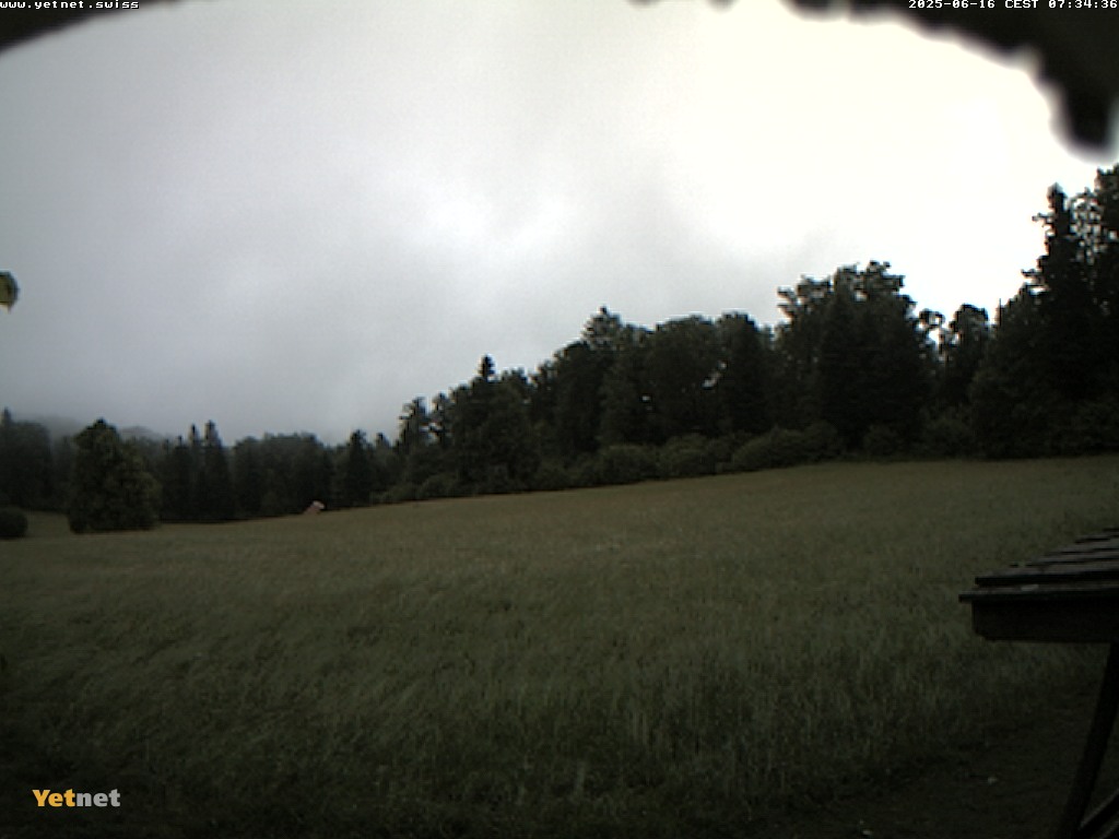 3h ago - 07:34