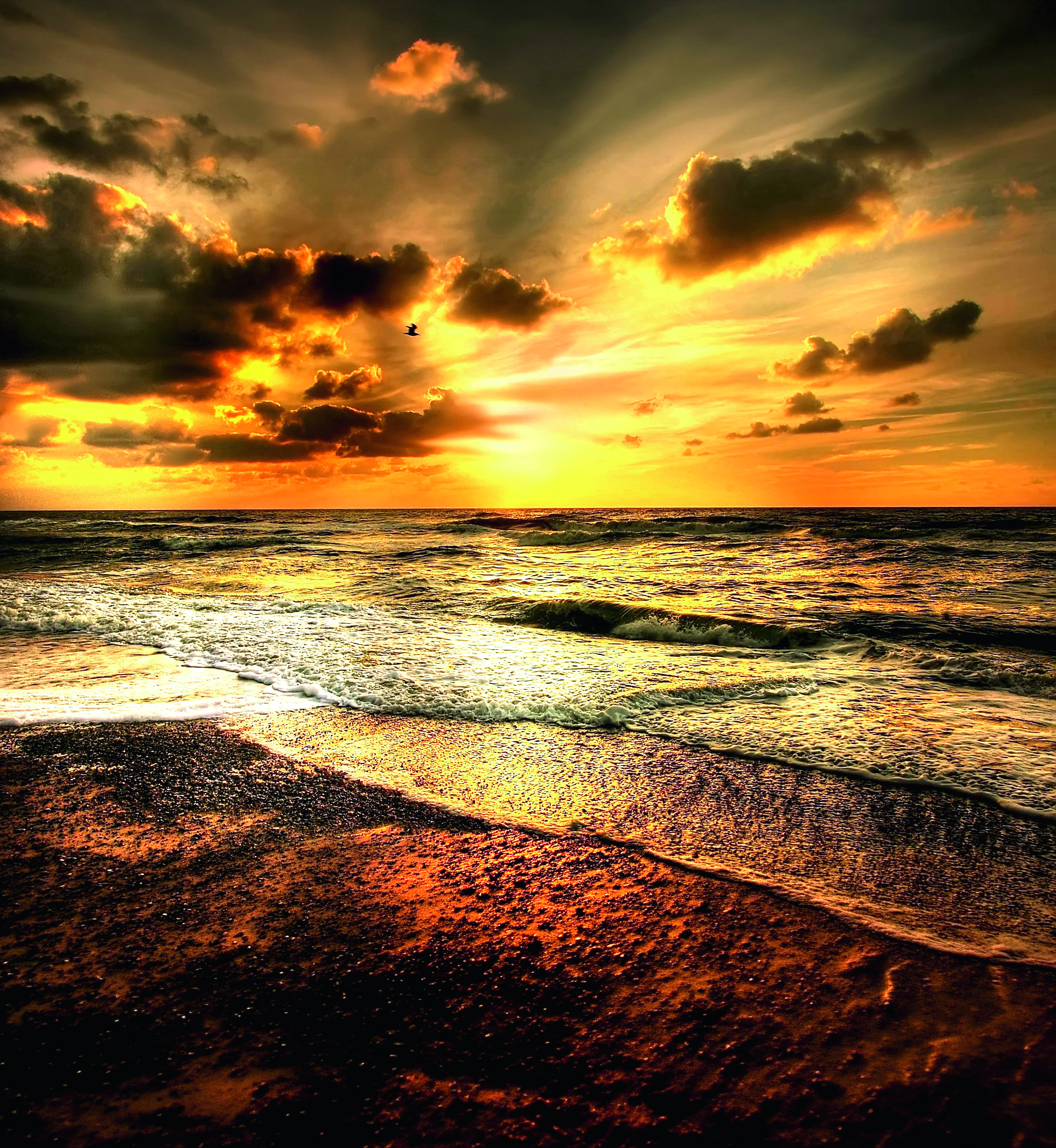 Titelbild des Events: Frühlingskonzert