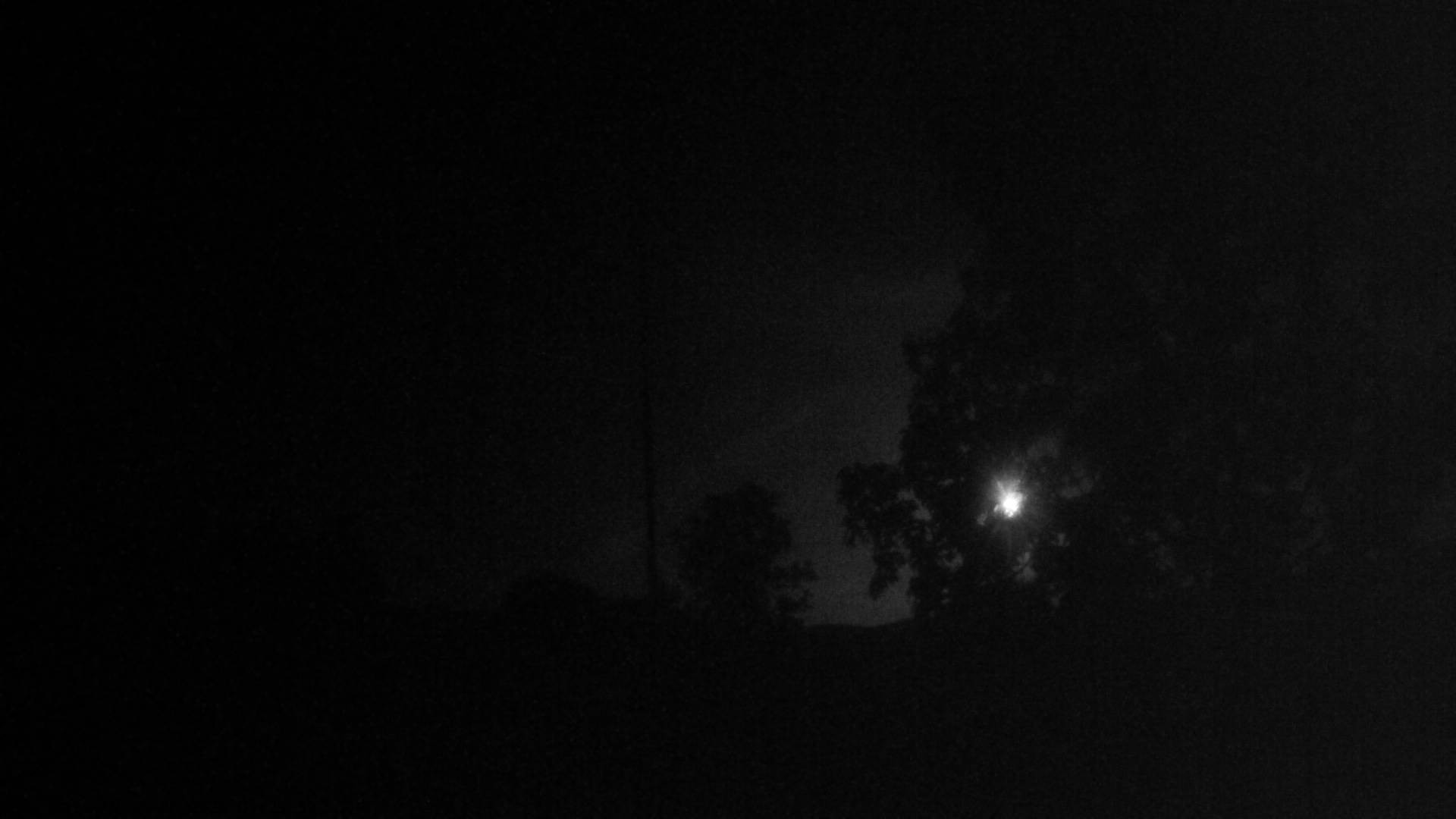 12h ago - 01:30