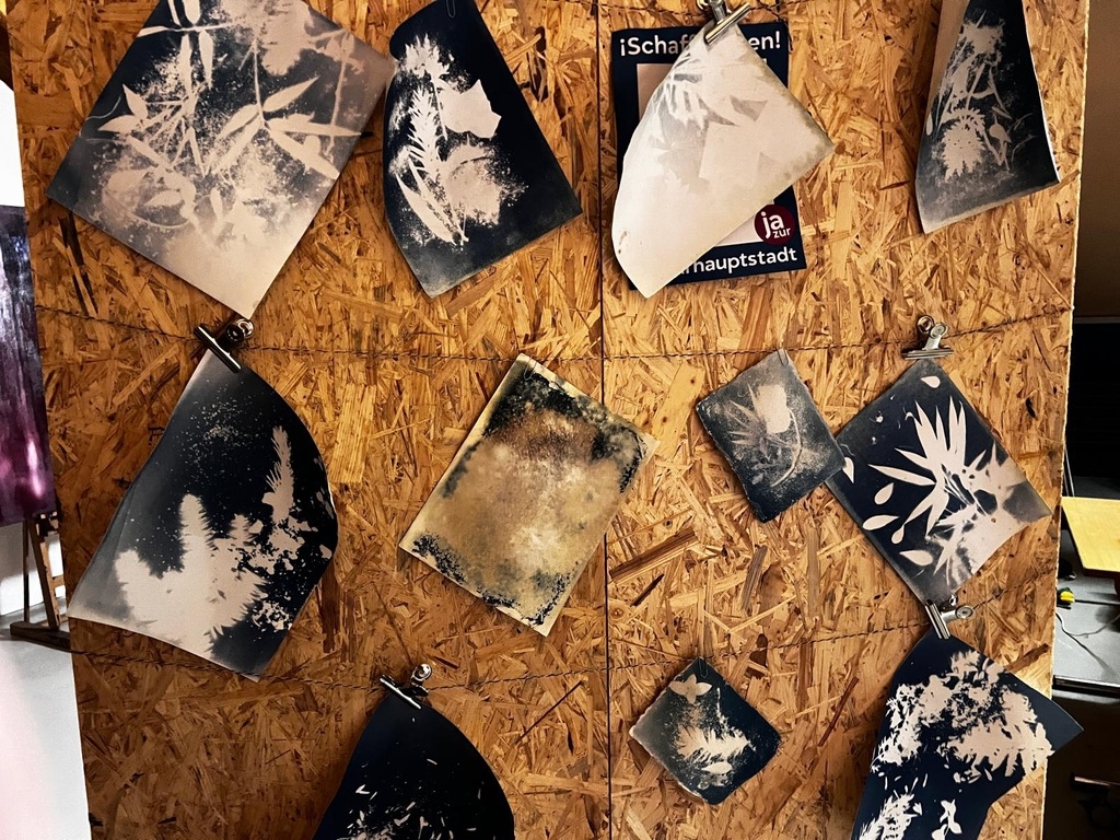 Klassische Cyanotypie