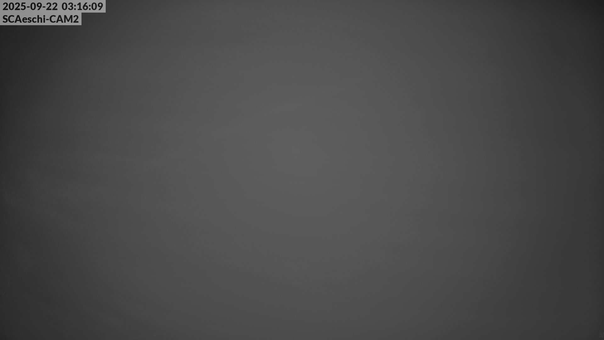 43h ago - 03:16