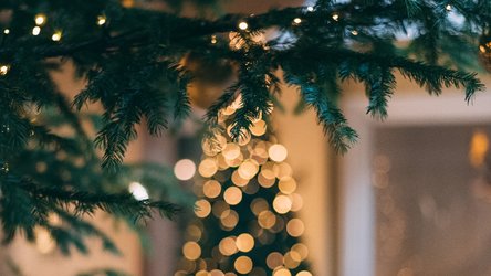(Bild: Mourad Saadi, Unsplash)