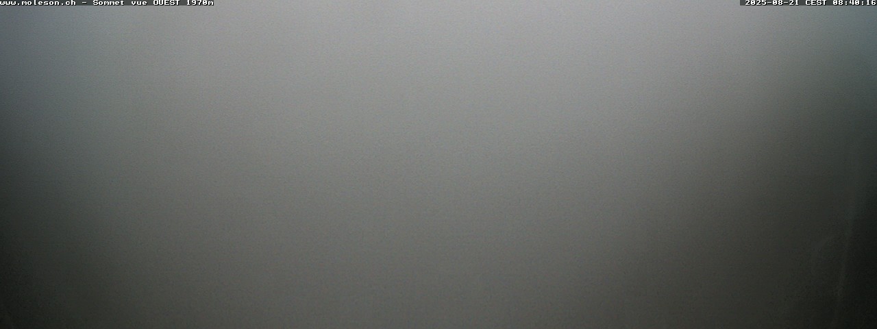 12h ago - 08:40