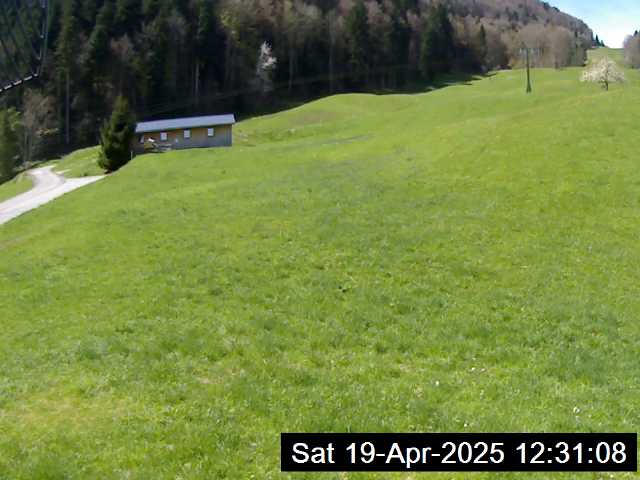 19.04.2025 12:31