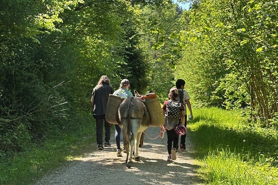 Titelbild des Events: Pony- und Eseltrekking (Kursnr. 2.1e)