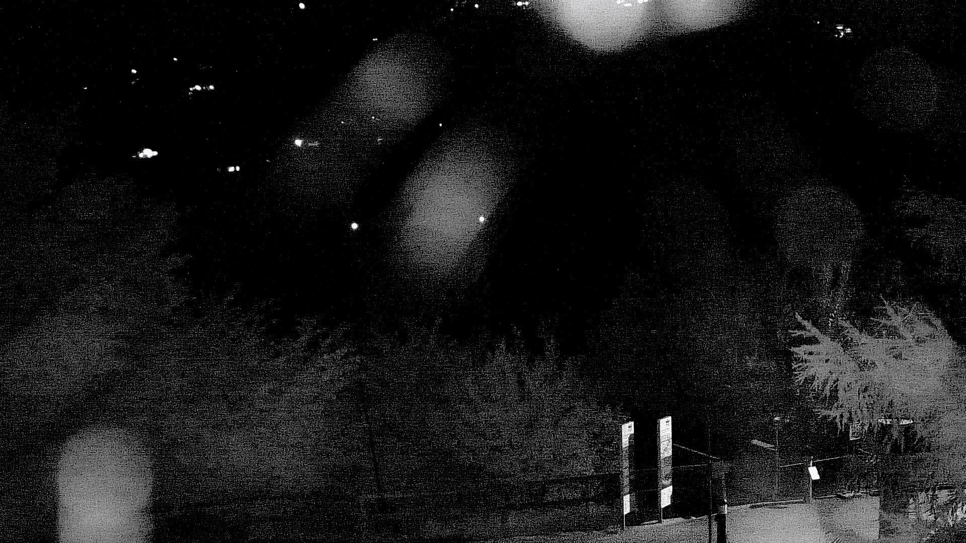 32h ago - 23:13