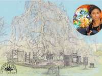 BaumRaum