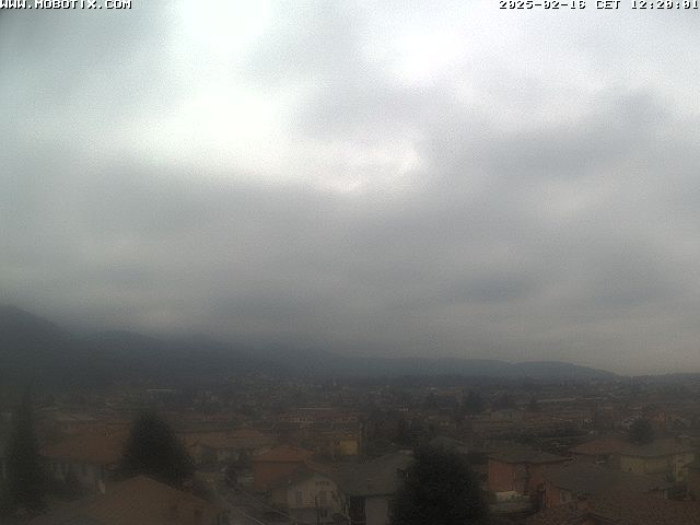 16.02.2025 12:21