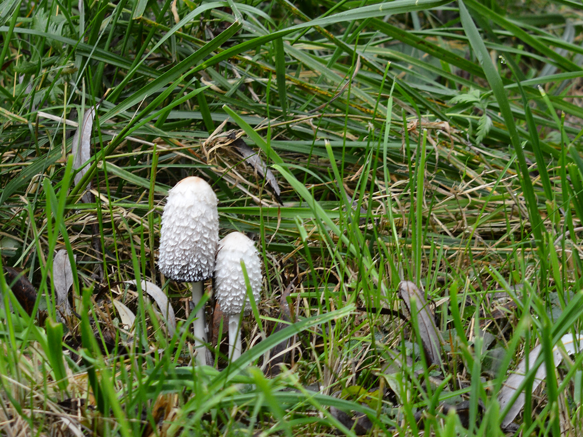 Saisonstart mit Vernissage Naturlabor, 28. und 29. März 2026