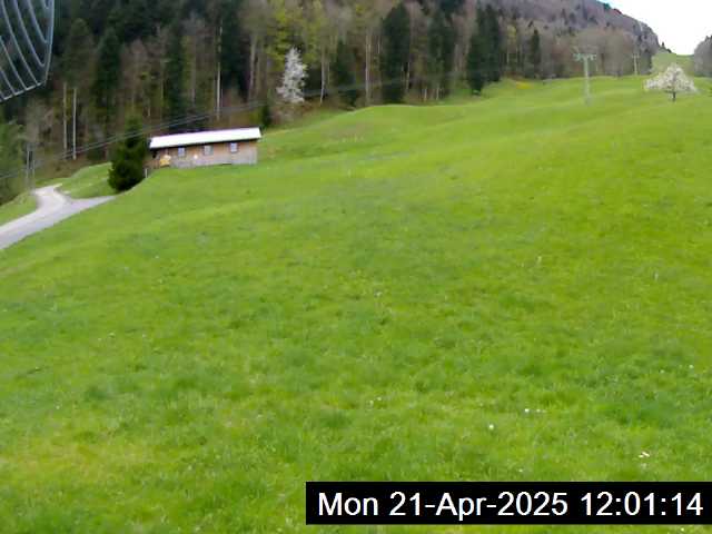21.04.2025 12:01