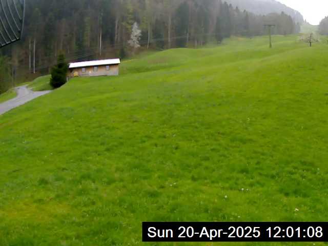 20.04.2025 12:01