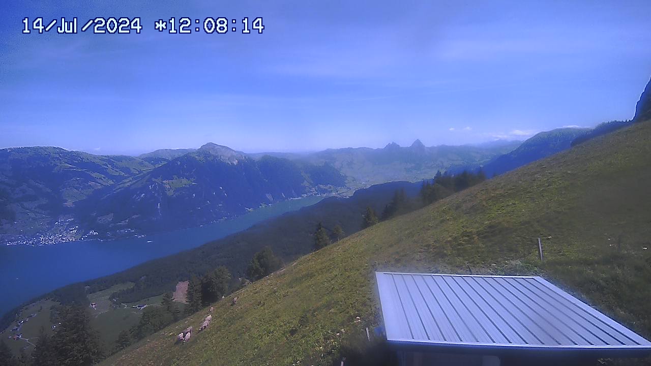14.07.2024 12:01