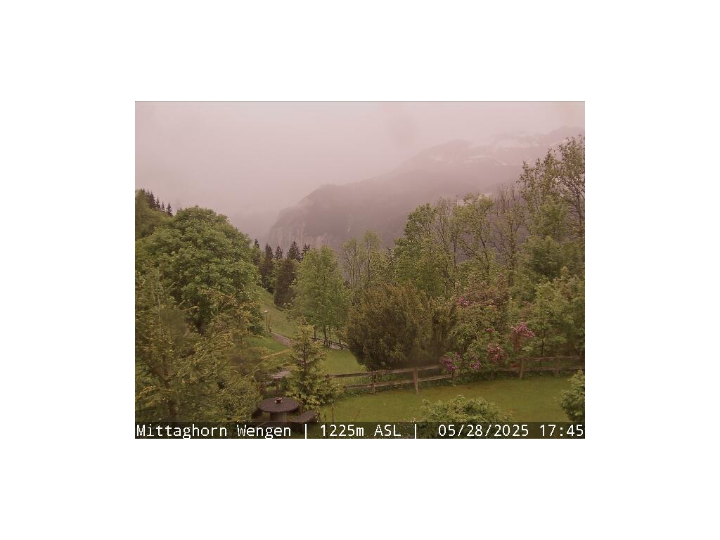 12h ago - 19:13
