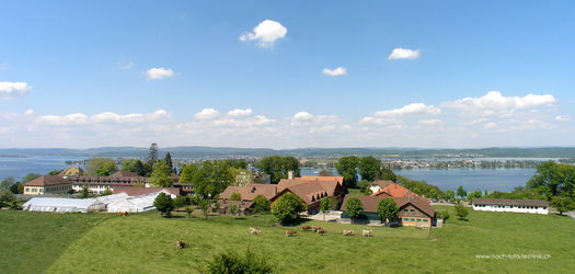 Käsefest Bodensee