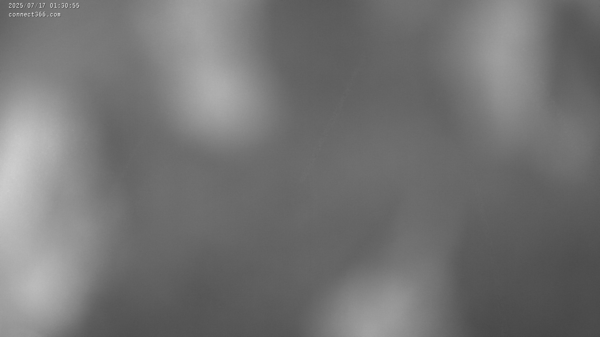37h ago - 01:31