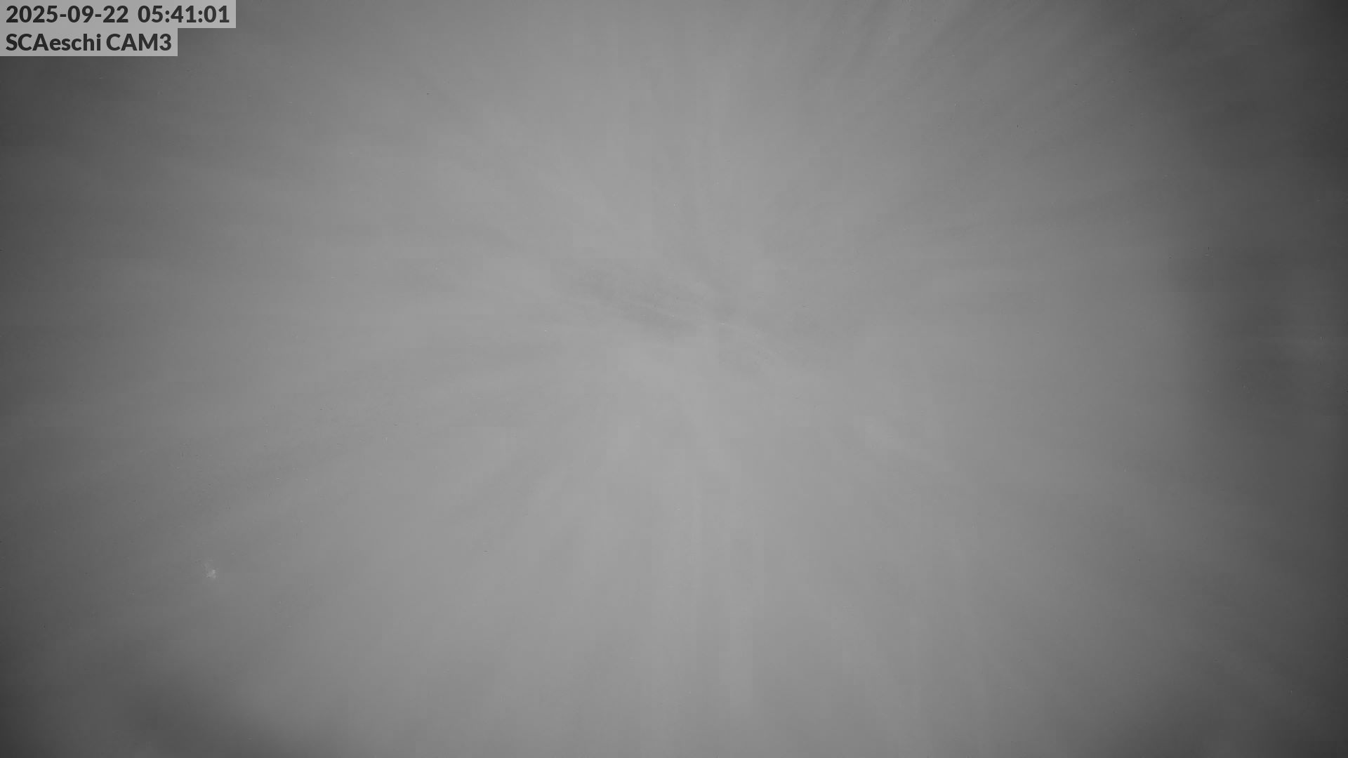 40h ago - 05:41