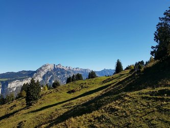 Anlagen täglich in Betrieb - 1