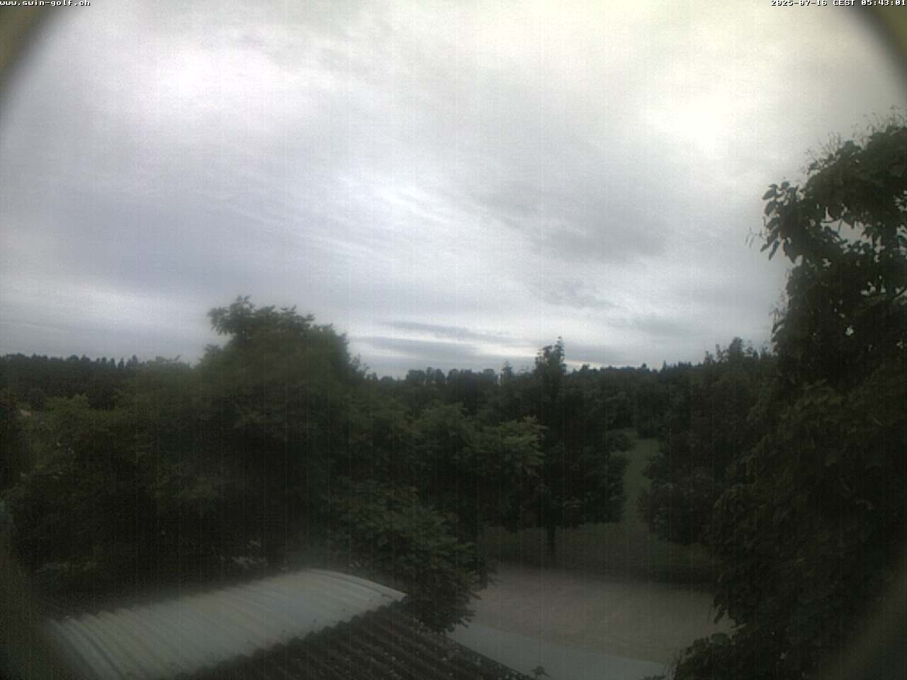 3h ago - 06:41