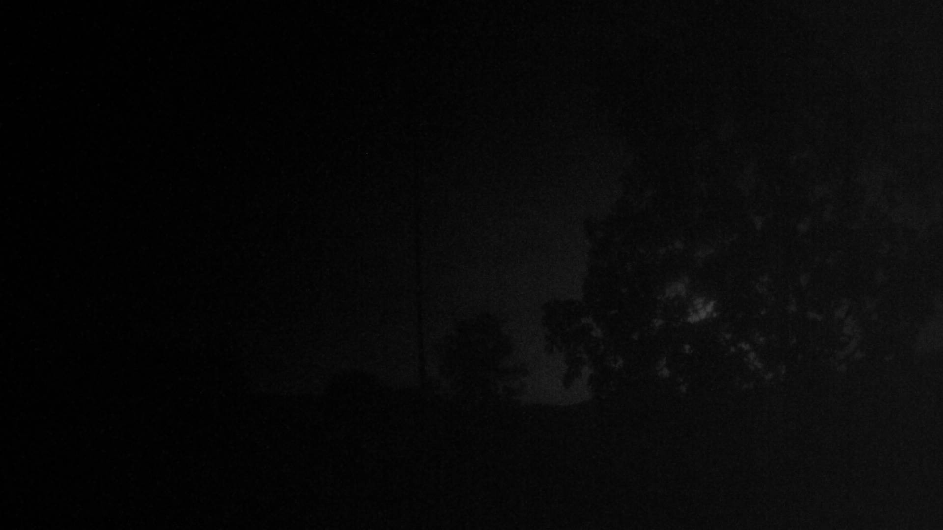 11h ago - 02:00