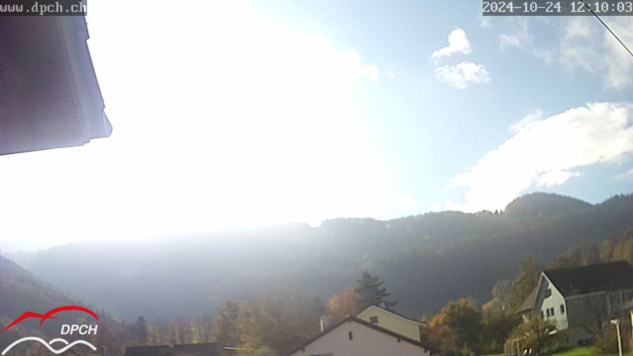 24.10.2024 12:11
