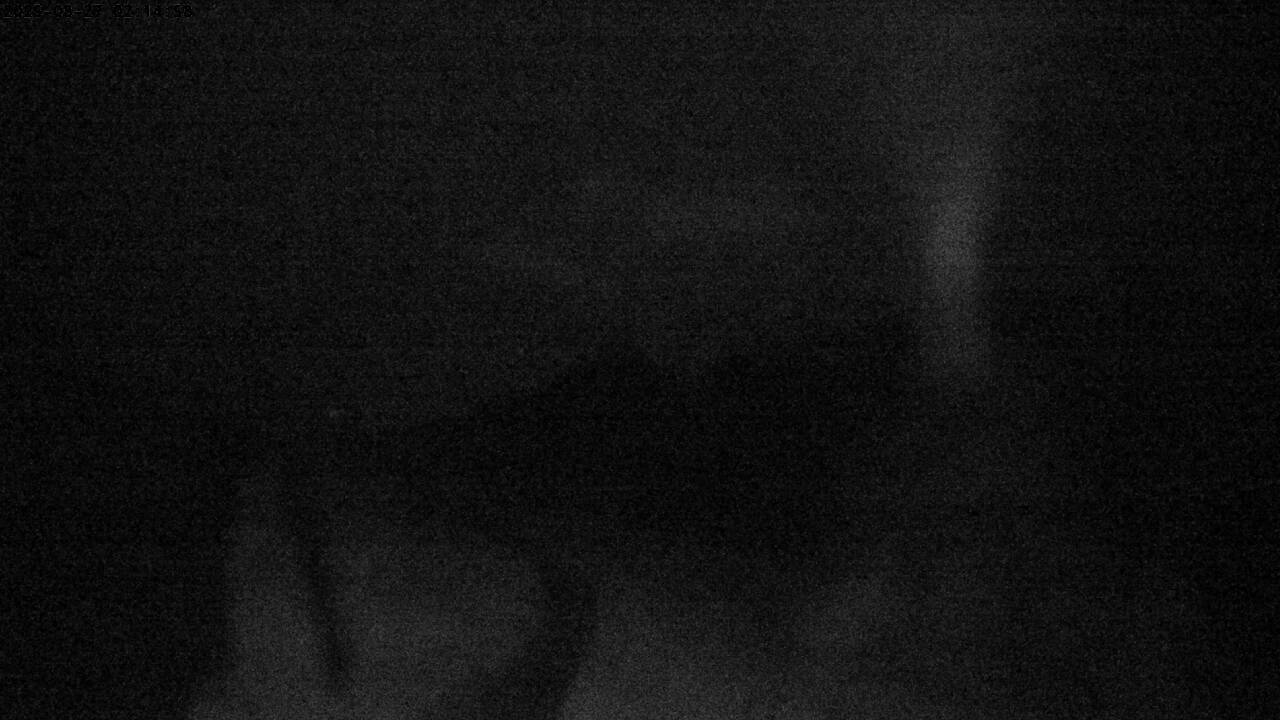 2h ago - 02:14