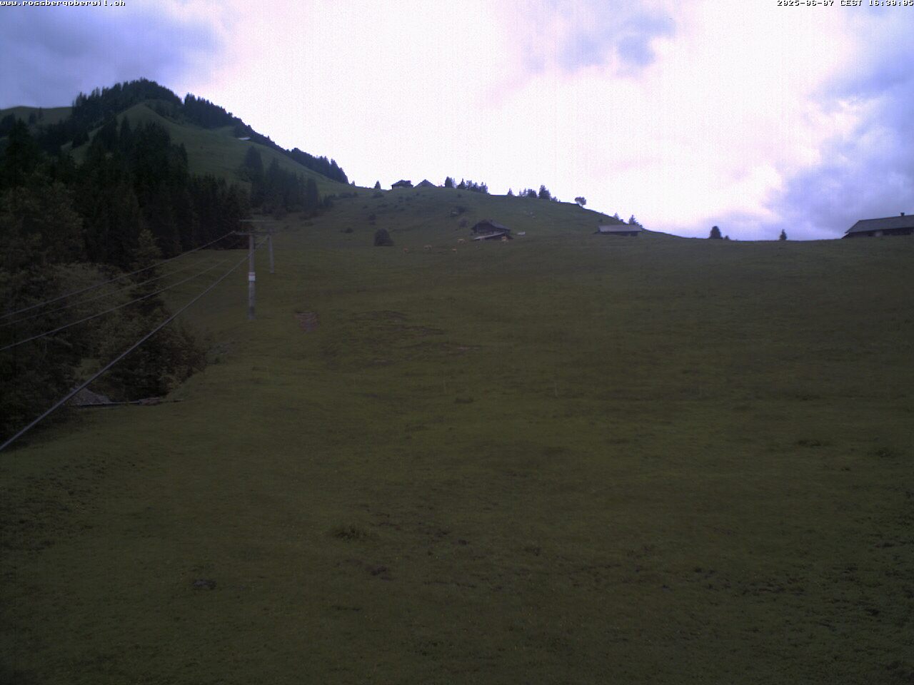 13h ago - 16:30