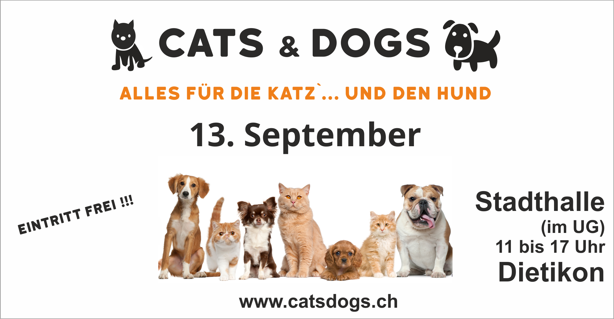 Titelbild des Events: Cats & Dogs – alles für die Katz…. Und den Hund