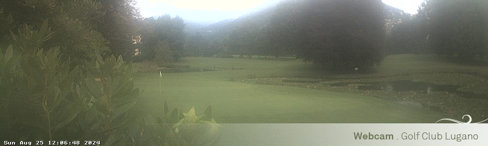 25.08.2024 12:06