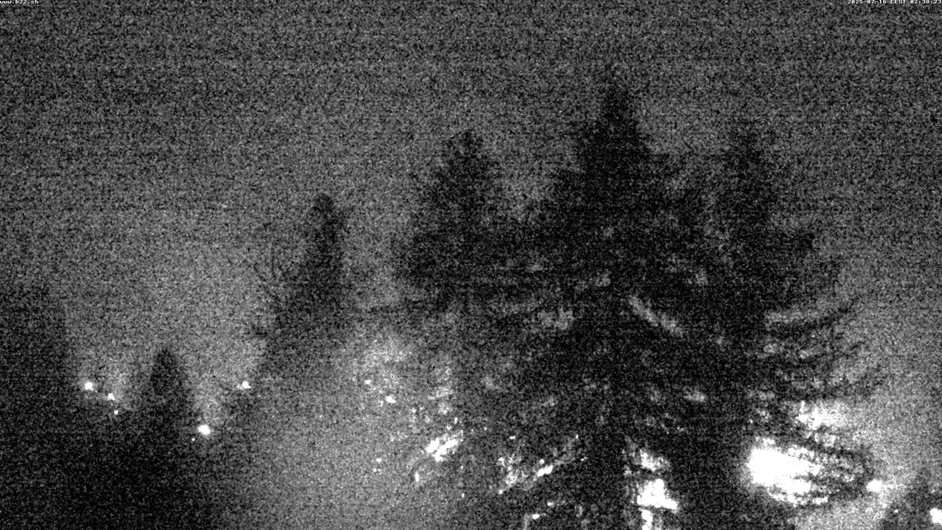 8h ago - 02:37