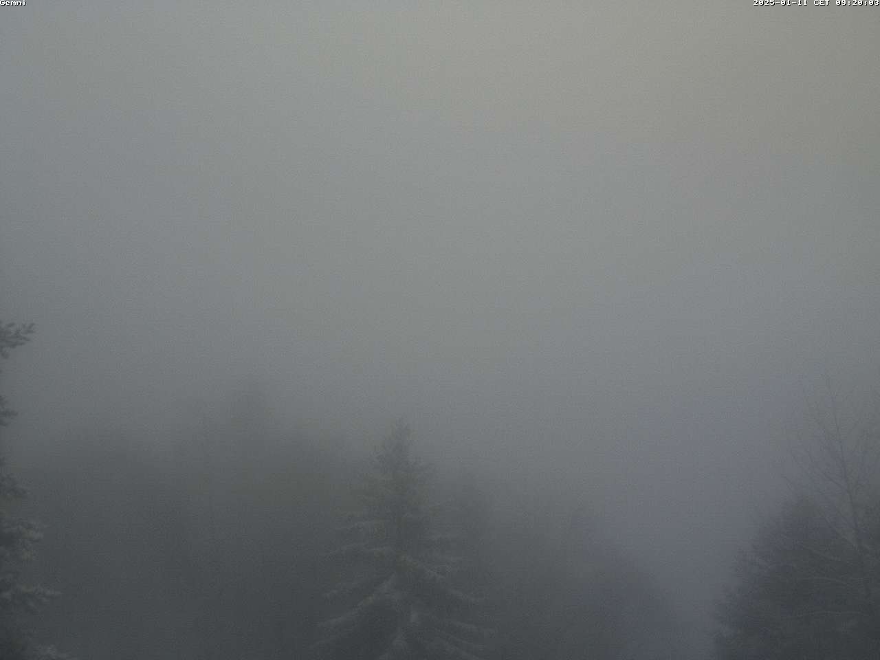 11.01.2025 12:28