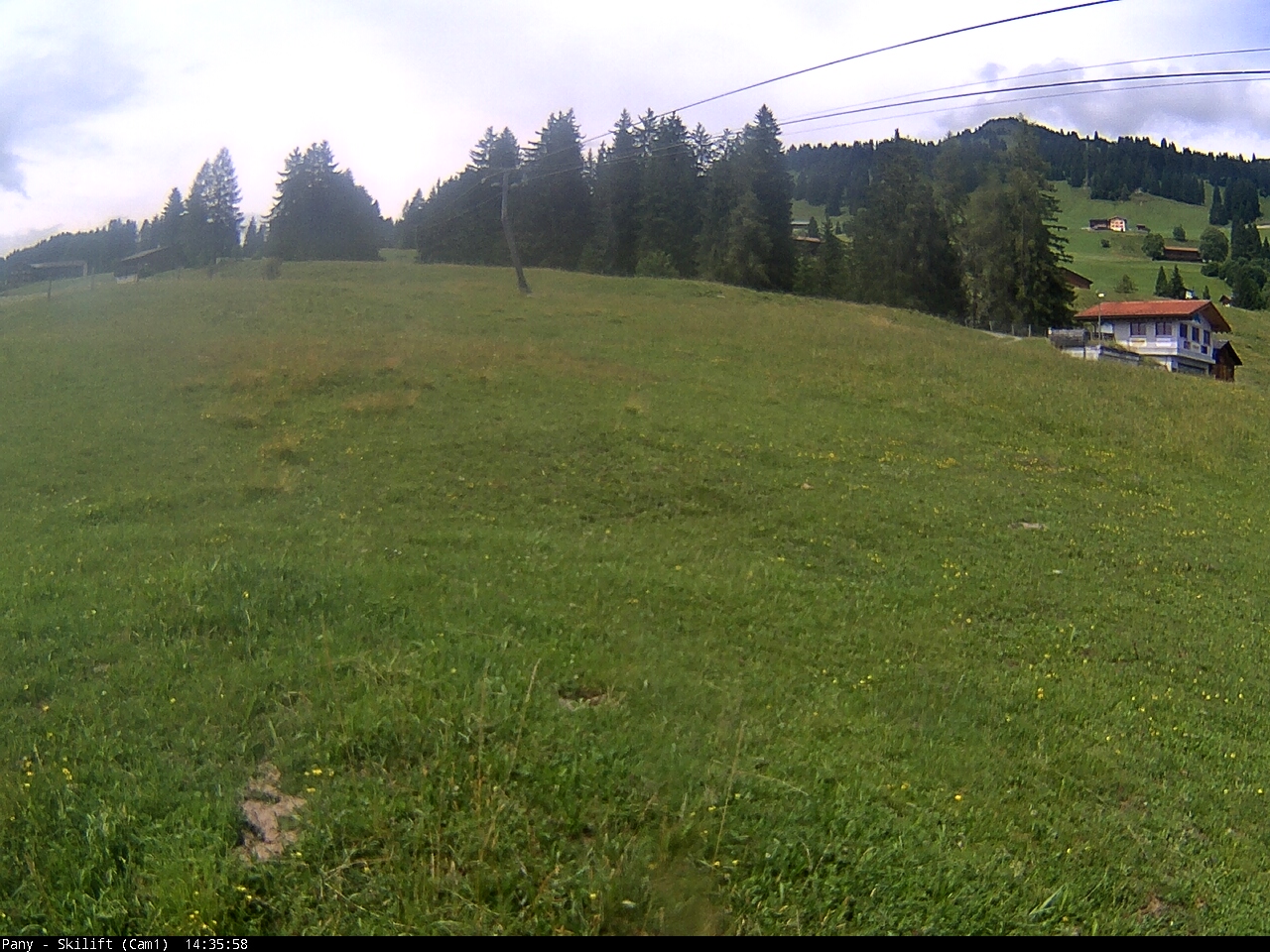 14h ago - 14:36