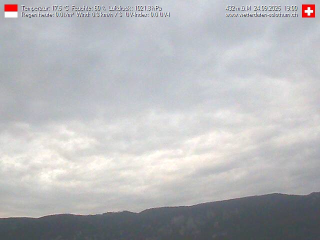 24h ago - 19:01