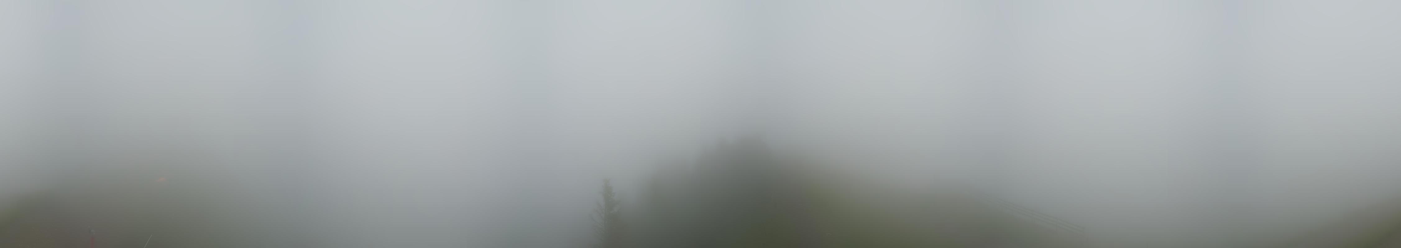 6h ago - 08:02