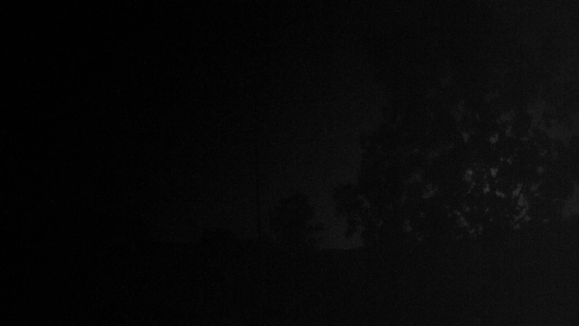 11h ago - 02:30