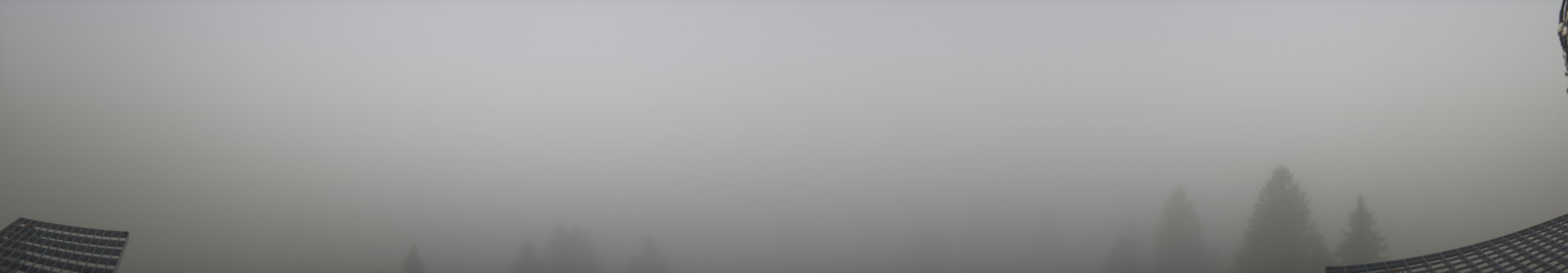 30h ago - 07:32