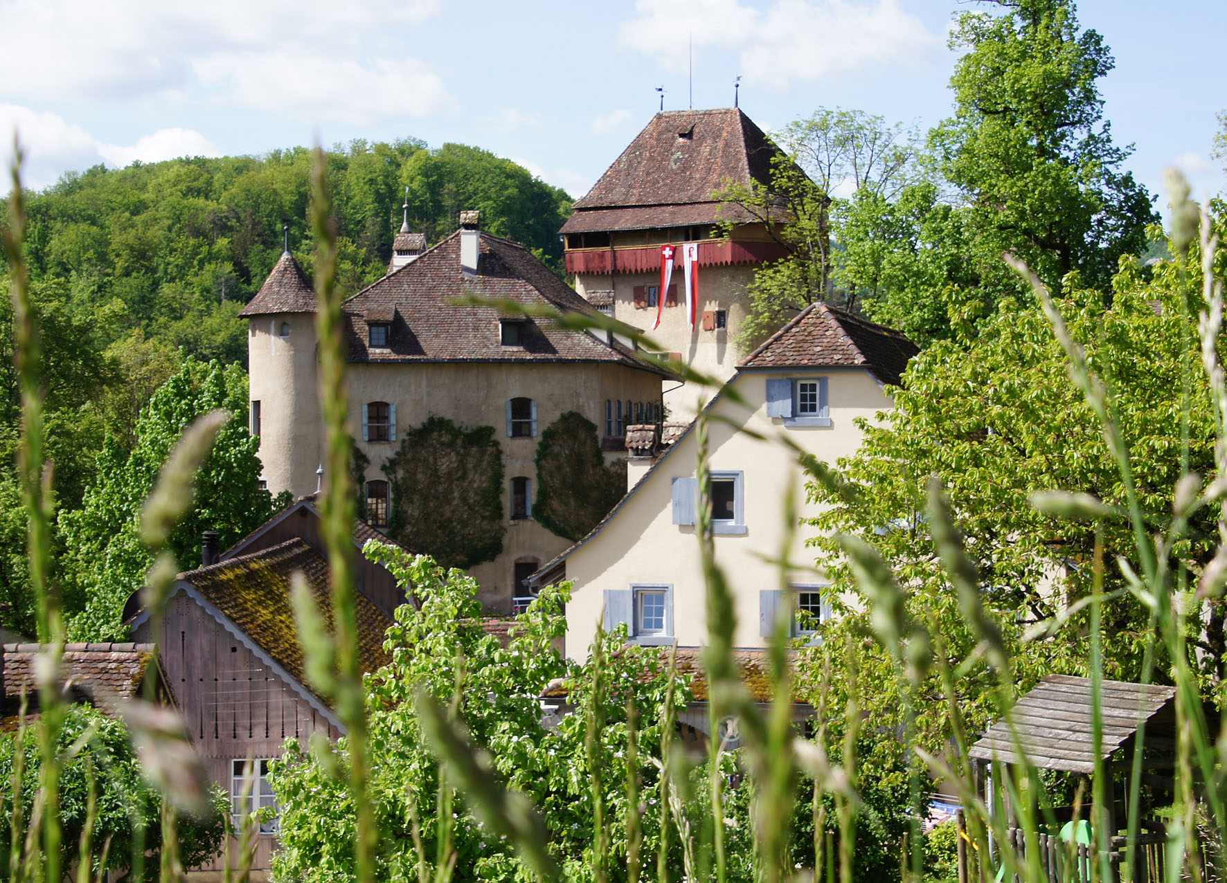 Öffentliche Führungen