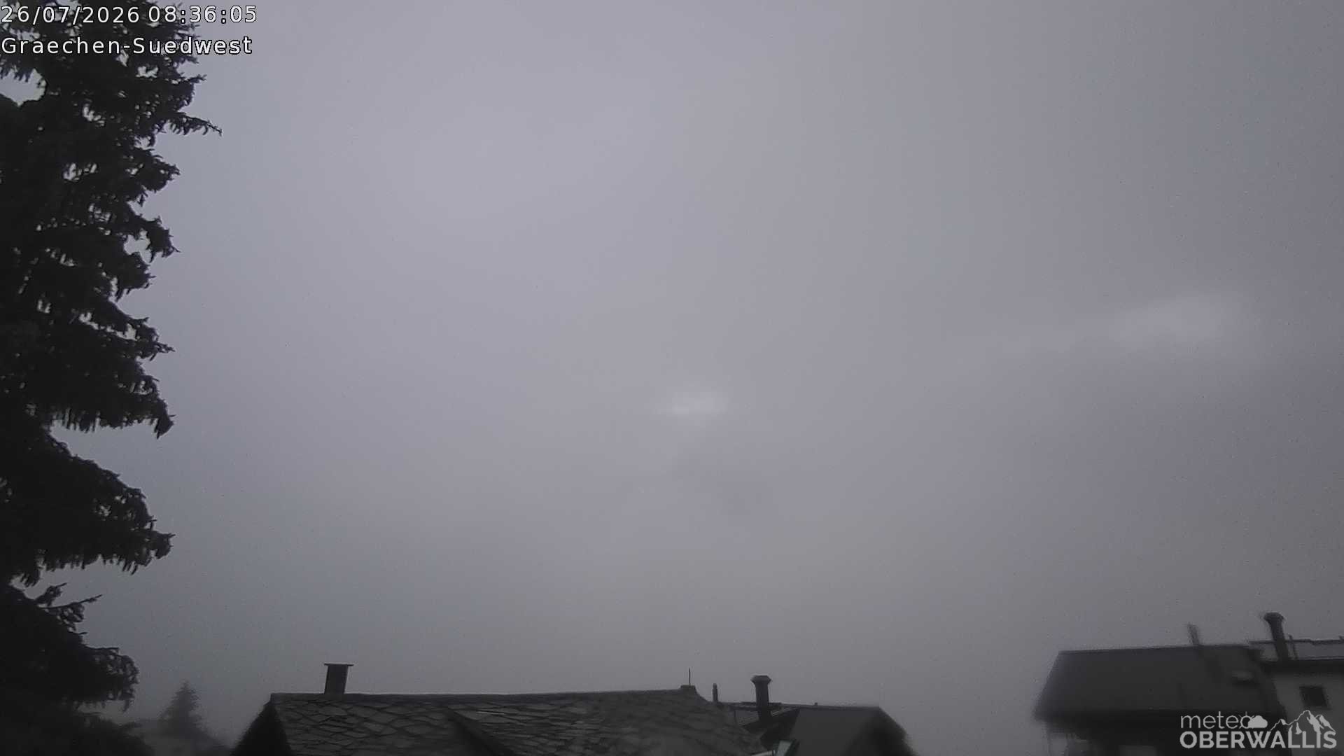 14h ago - 08:31
