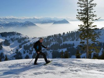 Rigi Brunch-Tour - 1