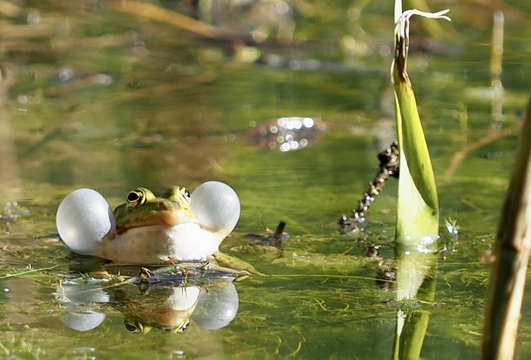 Titelbild des Events: Exkursion zum Thema Wasser