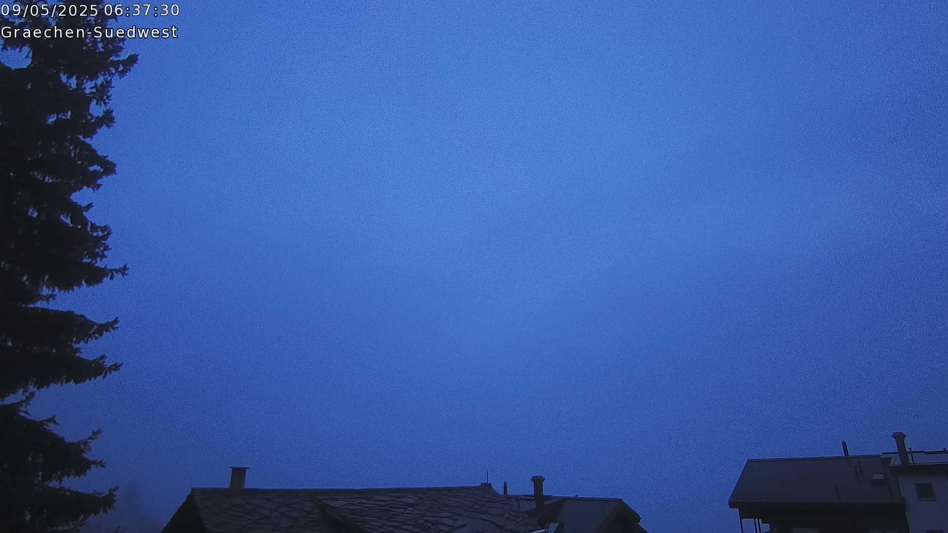 4h ago - 06:31