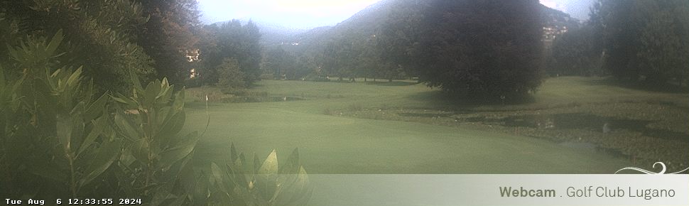 06.08.2024 12:34