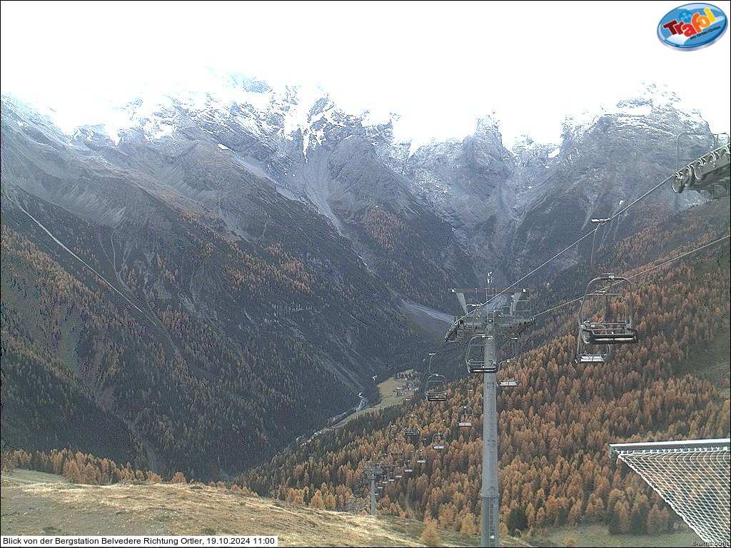 19.10.2024 11:00